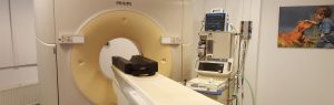 CT scan at Dierenziekenhuis Drachten